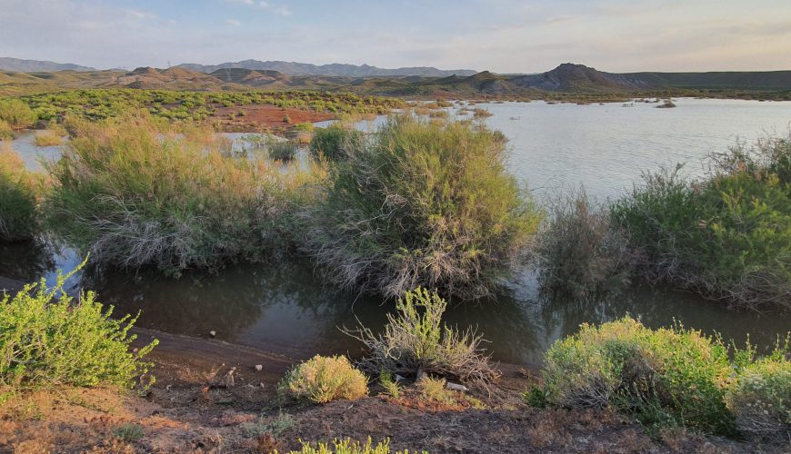 دریاچه حاج کاکا