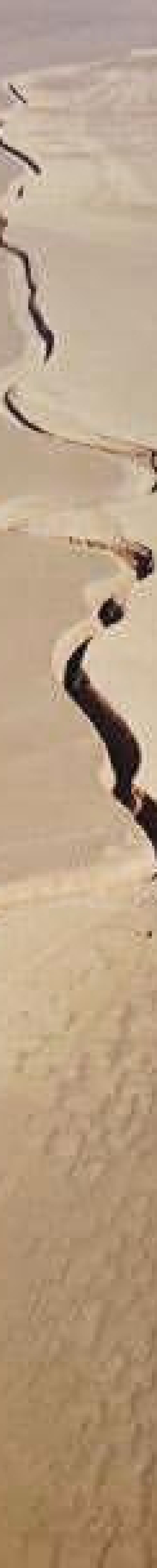 تنگه زبان مار