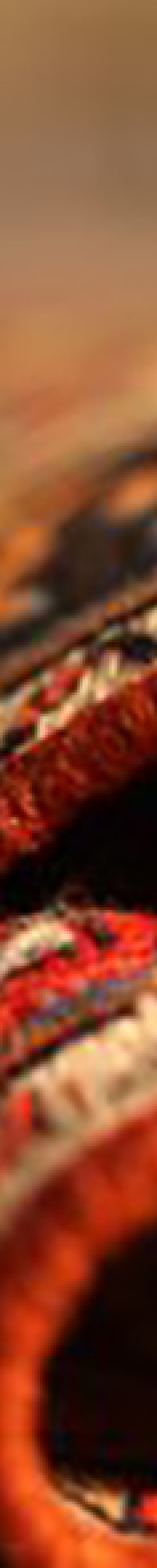 گلیم دستباف شیریکی